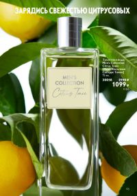 Смотреть следующий каталог Oriflame № ru 2026 года - Страница 93